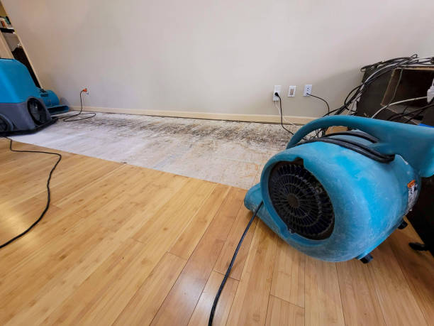 Professional Water Damage Repair technician working in Roscoe, PA